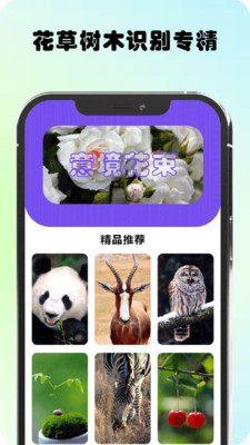 万物识图高手3