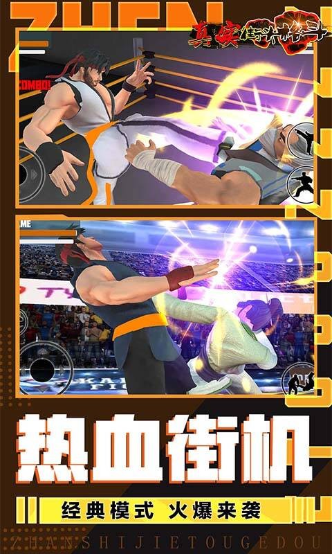真实街头格斗安卓版v1.01