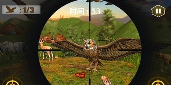 3D猫头鹰狩猎模拟3