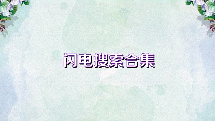 闪电搜索合集