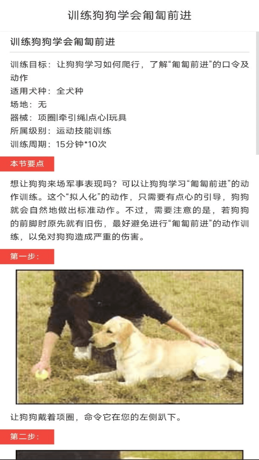动物对话翻译器中文版免费2
