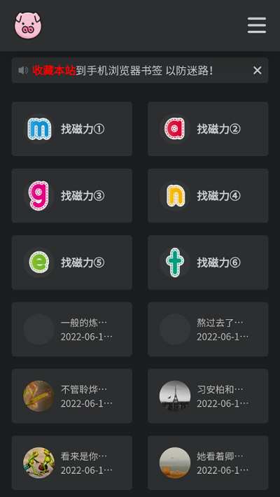 bt磁力猪2
