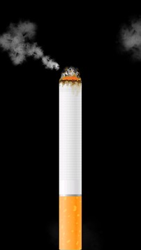 卷烟模拟器4