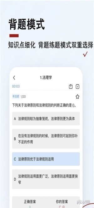 书记员题小宝3