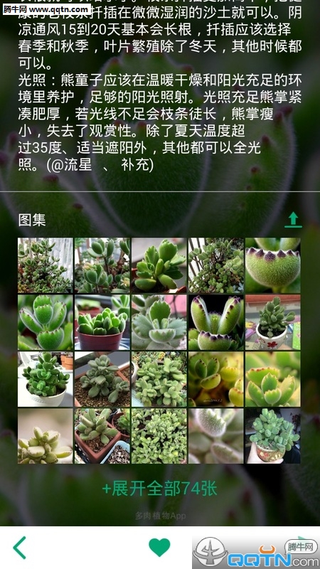 多肉植物app2
