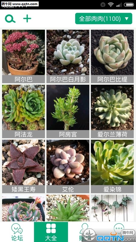 多肉植物app3