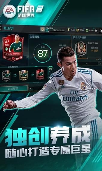FIFA足球世界国际服2
