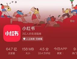 小红书一键翻译功能使用指南