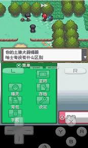口袋妖怪魂银版游戏技巧攻略