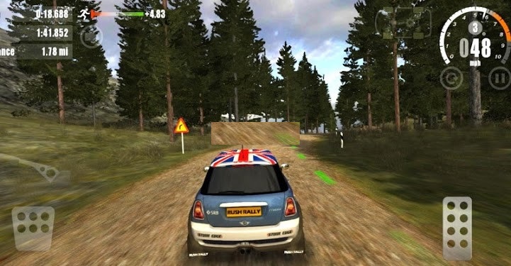 DIRT Rally Rushv2.01