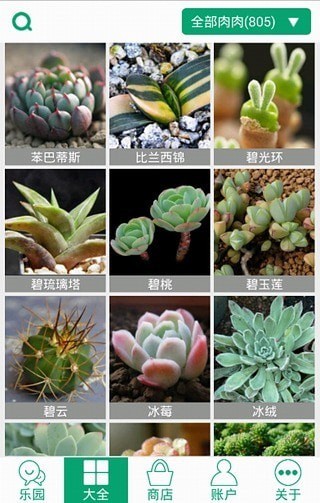 多肉植物1