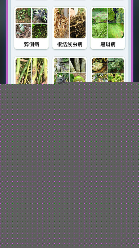 种菜专业户3