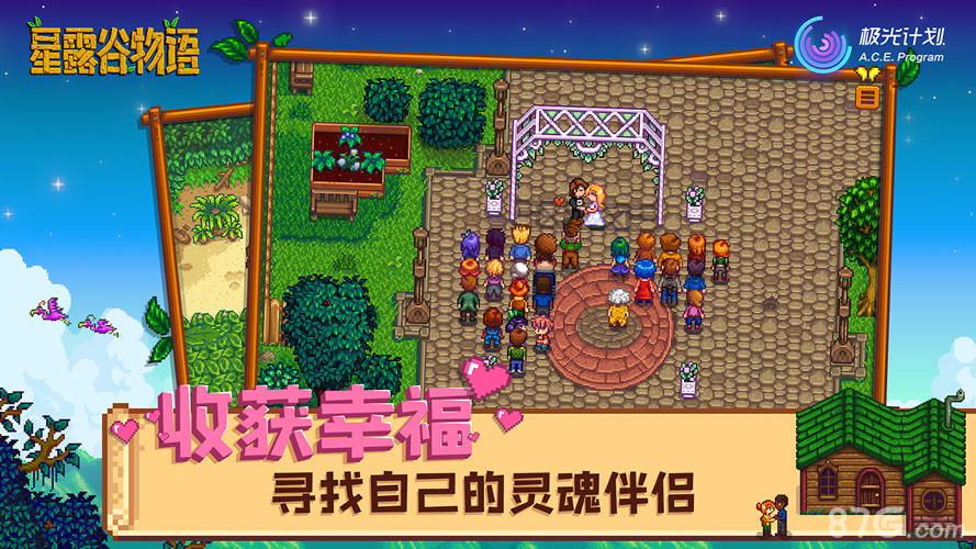 Stardew Valley3