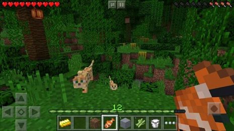 minecraft1.202