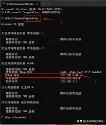 如何查看自己的IP地址？简单几步教会你查询自己的IP地址