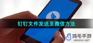 钉钉文件如何高效发送到微信：详细步骤与方法指南