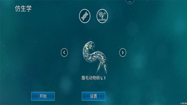 孢子进化论1