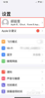 Safari起始页变为空白解决方案