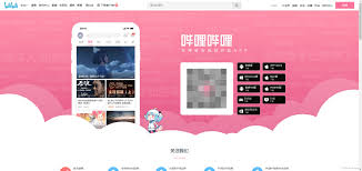 如何有效恢复哔哩哔哩观看历史记录的实用指南