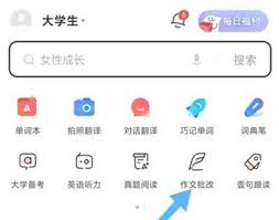 如何使用网易有道词典高效批改作文？提升写作水平必备技巧