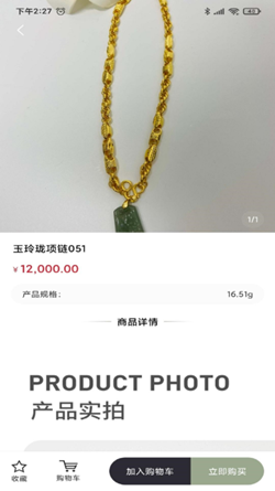 嘉骏珠宝3