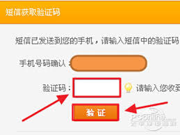 解决阿里旺旺验证码不显示问题的方法与技巧