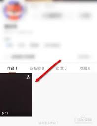 快手隐藏所有作品的方法与步骤详解
