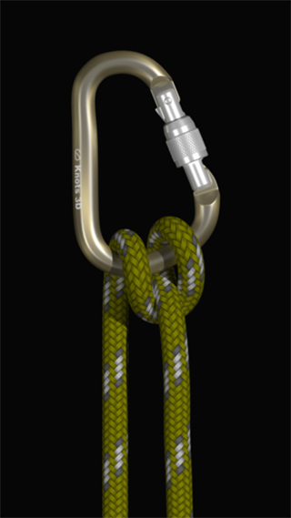 3d绳结2