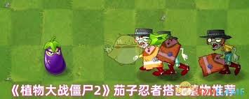 植物大战僵尸2茄子忍者搭配啥植物好