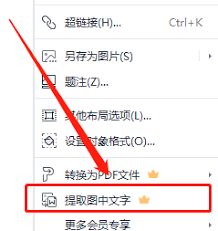 WPS图文转换：轻松提取图片中文字的详细步骤