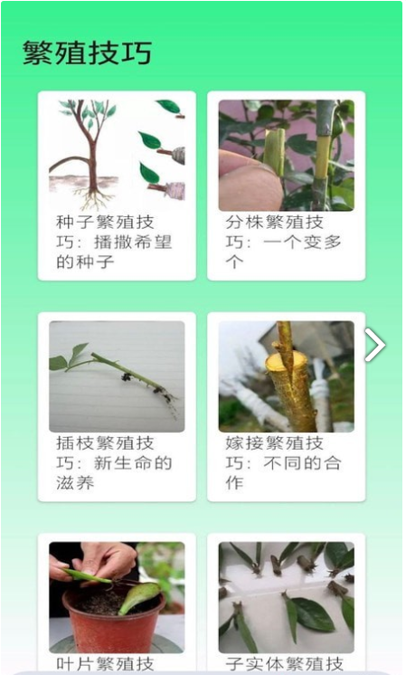 果园管家1