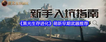 黑光生存进化前期选什么武器好