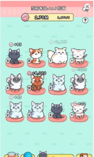 猫咪世界1