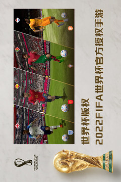FIFA2003中文版1