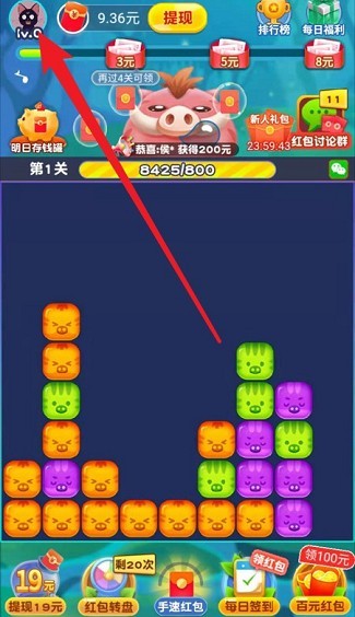猪猪爱消消21