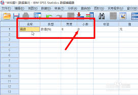 SPSS如何将小数转换为整数