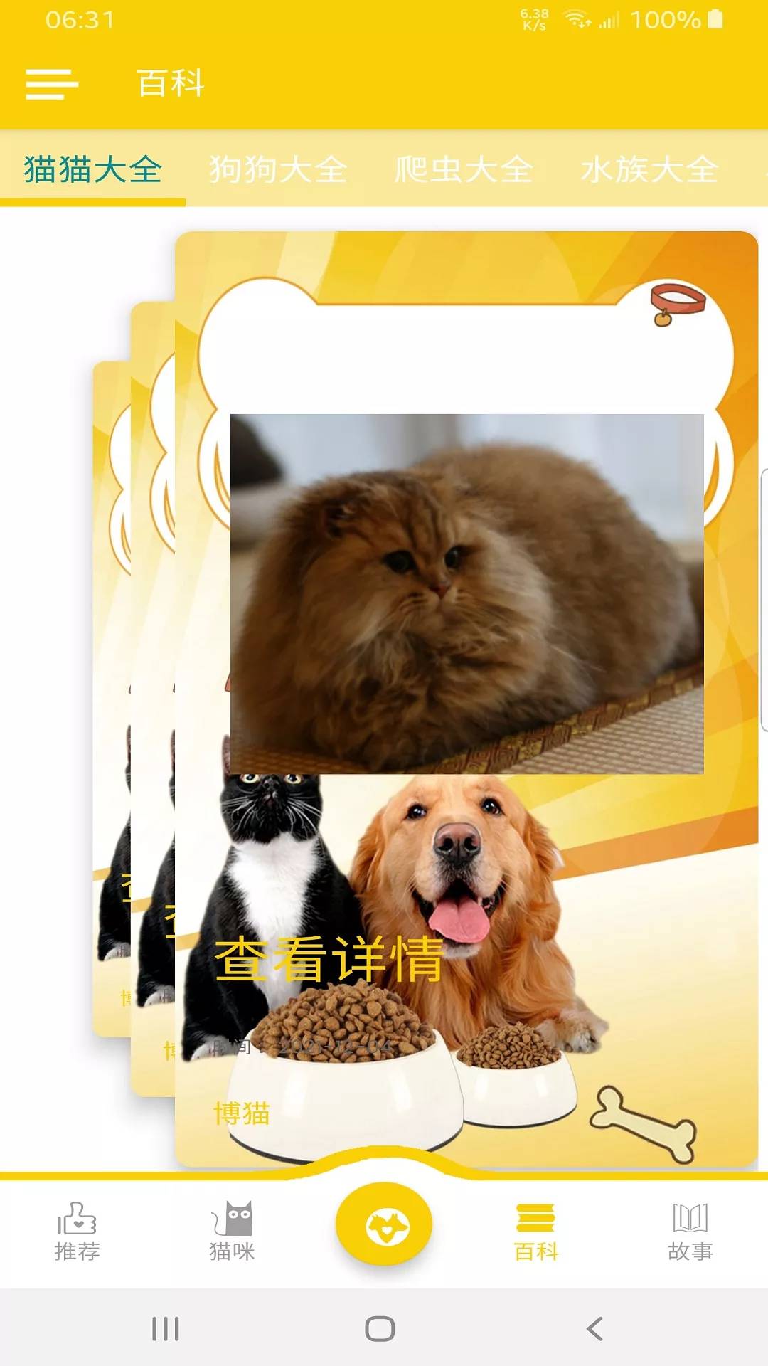 博猫1