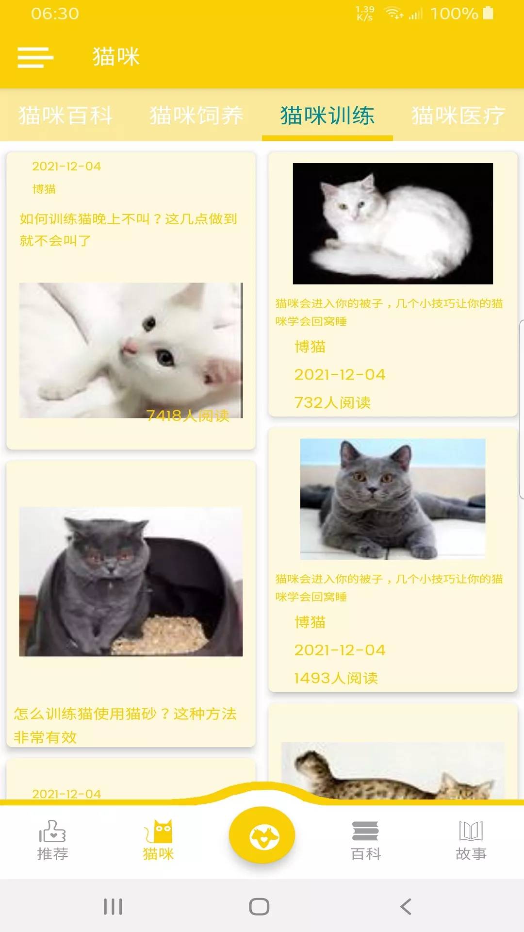 博猫2