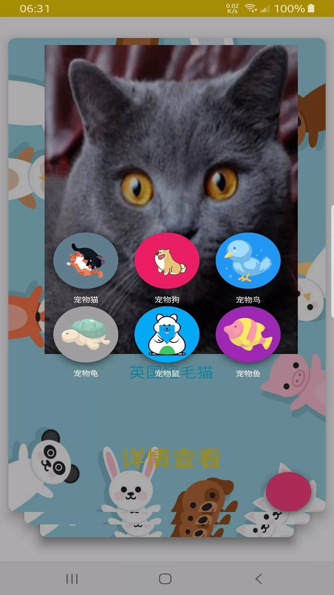 博猫3
