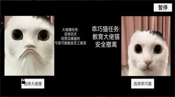 猫猫惊魂夜1