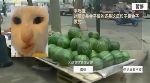 猫猫惊魂夜2