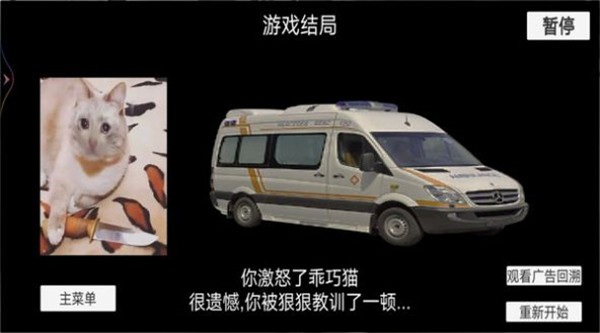 猫猫惊魂夜3