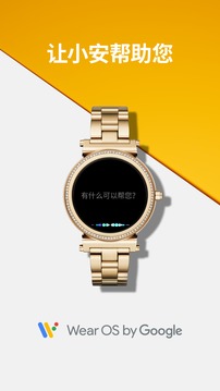 Wear OS by Google3