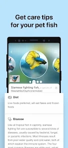 Picture Fish鱼类识别4