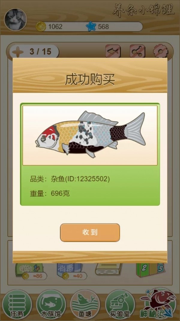 养条小锦鲤2