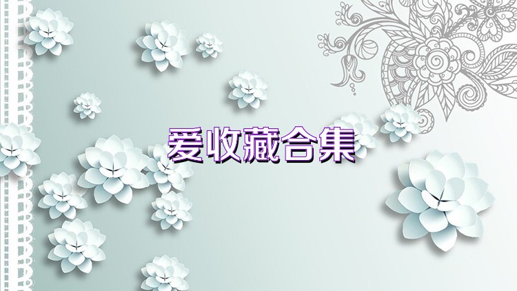 爱收藏合集