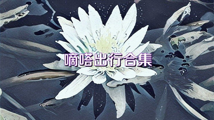 嘀嗒出行合集