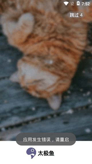 太极鱼3