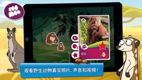 动物好伙伴3