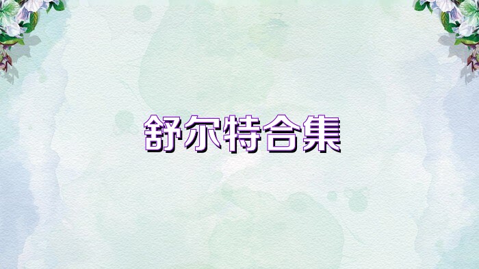 舒尔特合集